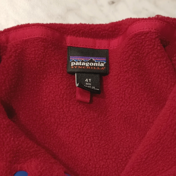 Patagonia Synchilla Snap-T Pullover - Picture 4 of 5